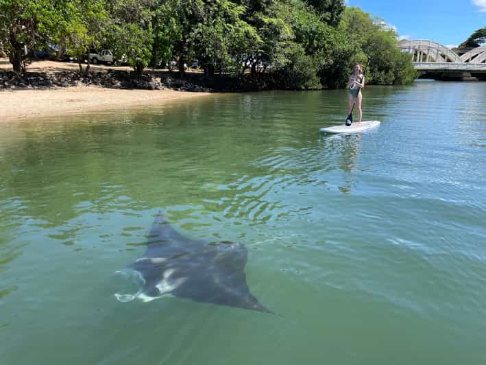 Oahu North Shore Haleiwa Paddleboard Rental GetYourGuide