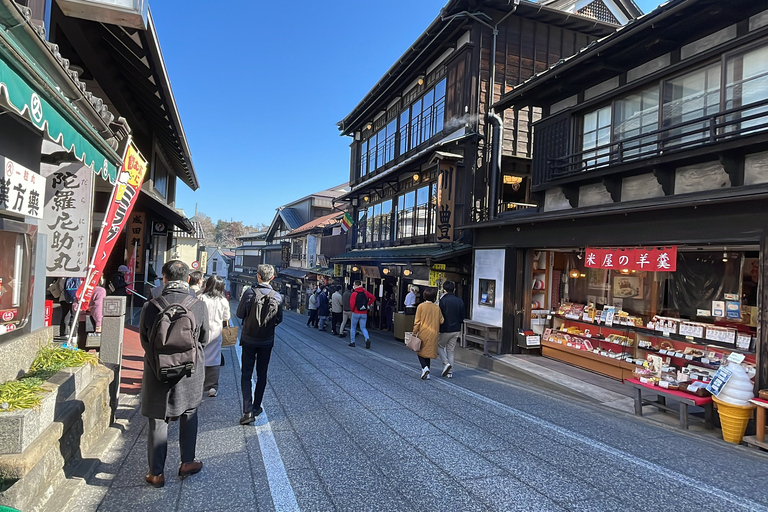 Från Narita flygplats: Privat mellanlandning eller guidad tur med transitFrån Narita flygplats: Privat övernattning eller guidad tur med transit