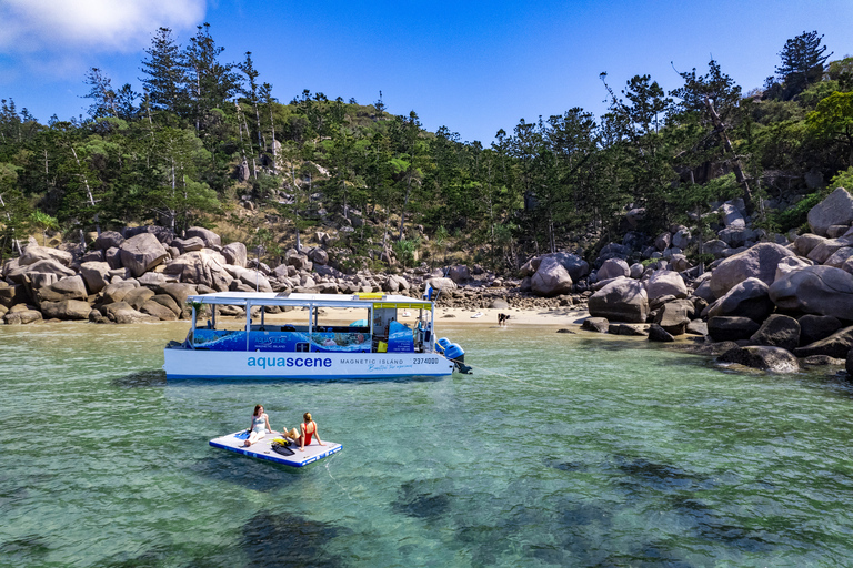 جزيرة ماجنتيك: جولة اكتشاف الغوصالجزيرة المغناطيسية: جولة اكتشاف الغطس