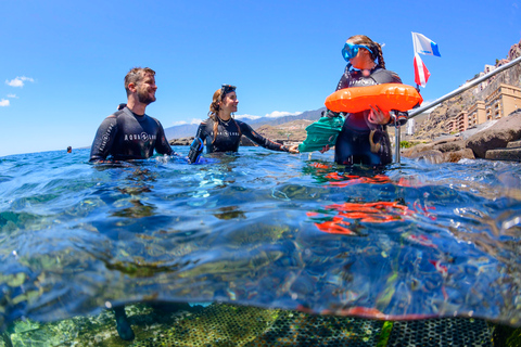 Schnorcheln in kristallklarem Wasser