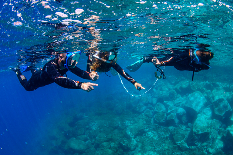 Snorkeling in crystal clear waters