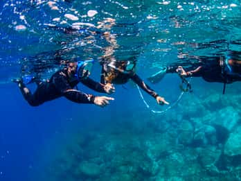 Radazul: Excursión familiar de snorkel