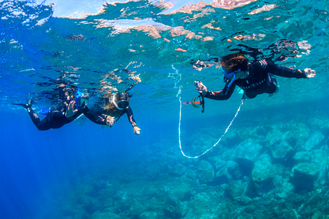 Snorkeling in crystal clear waters