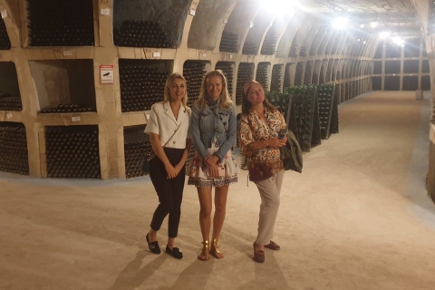 Moldavie : Visite de la cave Milesti Mici avec dégustation de vinsMoldavie : Visite des vignobles Milesti Mici avec dégustation de vins