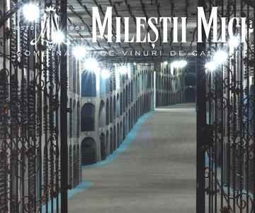 Moldova: Wine tour to Mileștii Mici cellar with Tasting