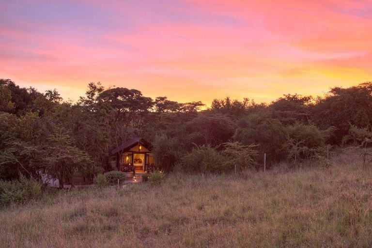 6 dagen safari naar Masai Mara, Lake Nakuru en Amboseli