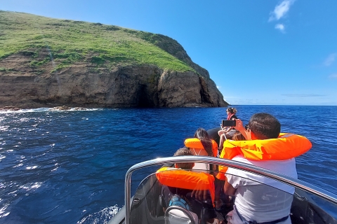 Eiland Terceira: boottochtBoottocht naar het eiland Terceira