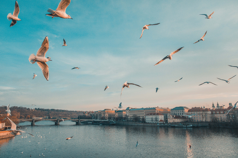 Capta los lugares más fotogénicos de Praga con un lugareño