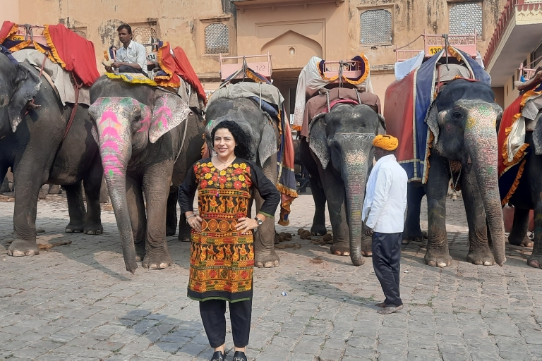 Vanuit Delhi: 4-daagse privétour in de Gouden DriehoekOptie 02 (4 sterren accommodatie + auto + gids)