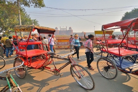Full Day Private Old and New Delhi City Tour Tour without Lunch and Entry Fees