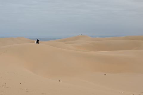 Agadir: Half-Day Sandboarding Tour with LunchPickup in Taghazout