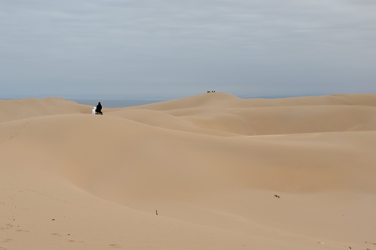 Agadir: excursão de sandboard de meio dia com almoçoRecolha em Agadir