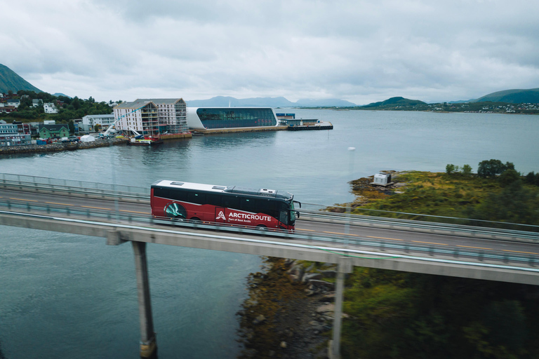 Tromsø: 1-Way Bus and Ferry Transfer to/from Lofoten 1-Way Transfer from Tromsø to Lofoten by Coach and Ferry