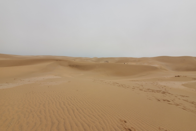 Agadir: Odkrycie gór górskich Atlasu w pół dnia