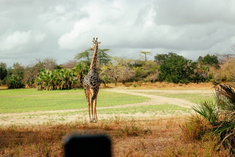 Emocionante Safari de 2 Días en la Mayor Reserva de Caza