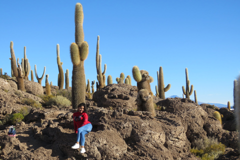 La Paz : 4 jours à Uyuni et lagunes colorées avec vol.