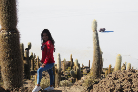 La Paz: 4-dagars Uyuni &amp; färgade laguner med flyg och hotell