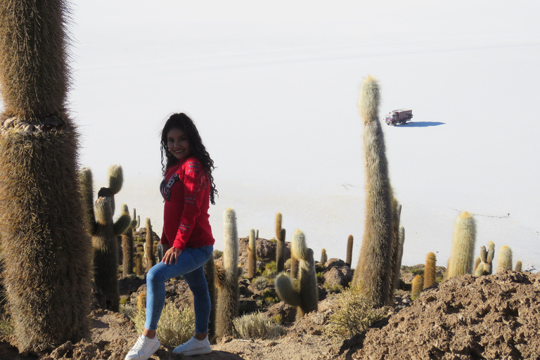 La Paz: 4-Day Uyuni & colored lagoons with flight.