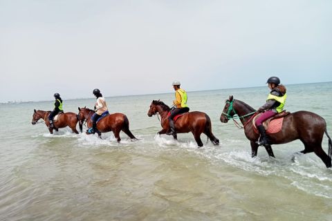 Sousse/Monastir: Private Horseback Riding Trip with Transfer