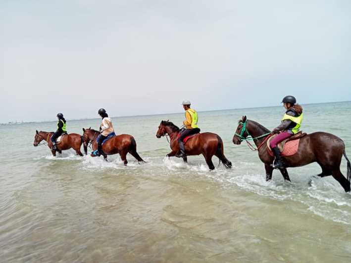 Sousse/Monastir: viaggio a cavallo privato con trasferimento