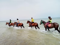 Sousse/Monastir, Escursione privata a cavallo con trasferimento - Hizvo