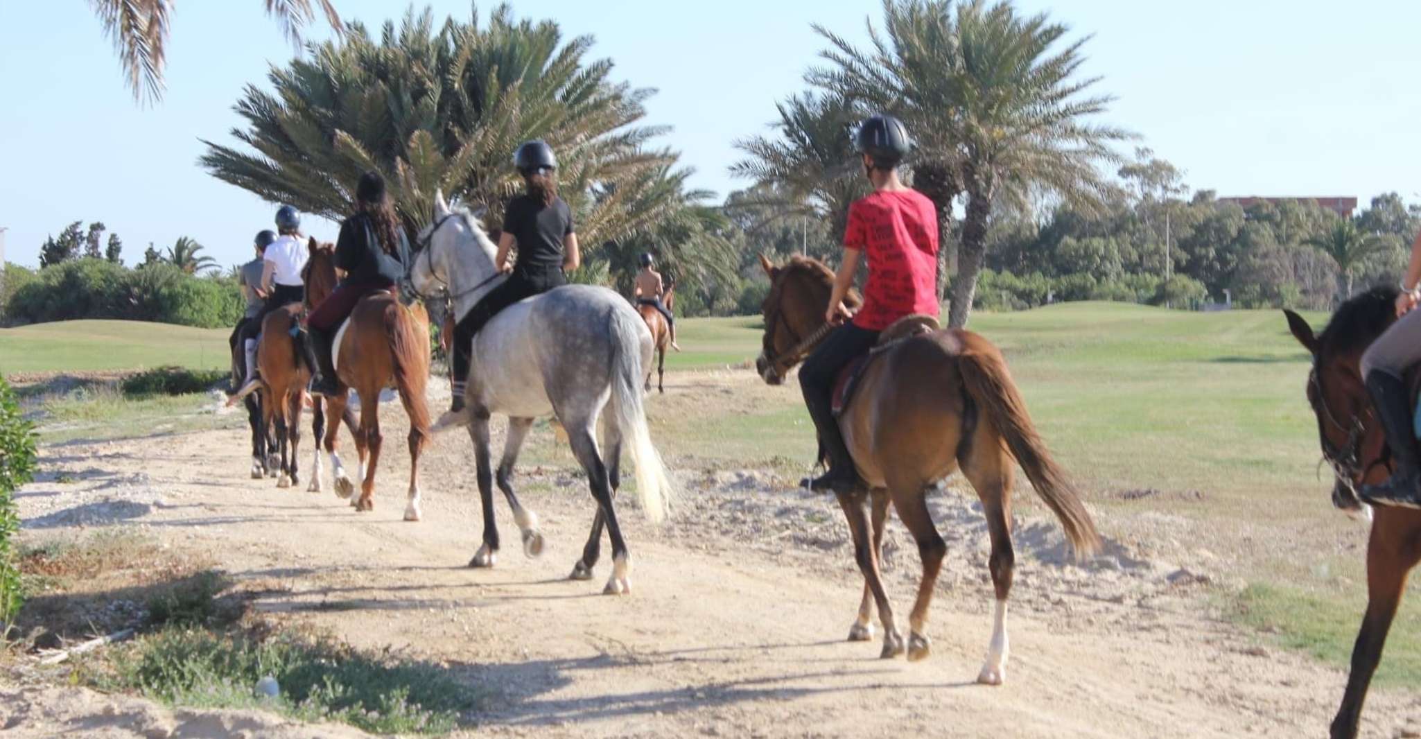 Sousse/Monastir, Escursione privata a cavallo con trasferimento - Hizvo