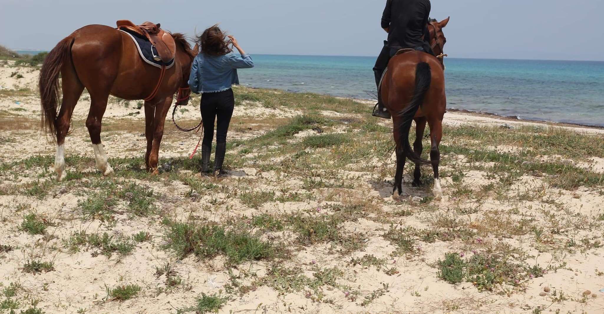 Sousse/Monastir, Escursione privata a cavallo con trasferimento - Hizvo