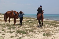 Sousse/Monastir, Escursione privata a cavallo con trasferimento - Hizvo