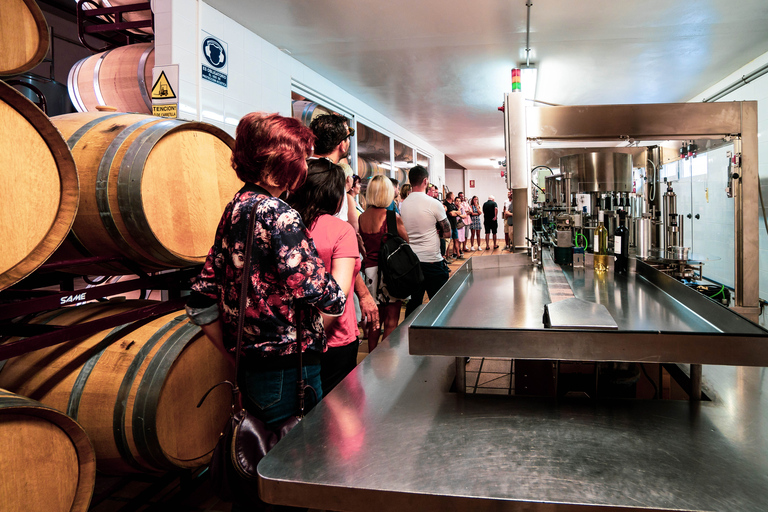 Benidorm: tour privado pelos destaques da cidade com degustação de vinhos