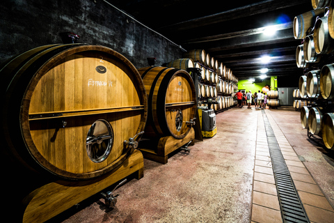 Benidorm: tour privado pelos destaques da cidade com degustação de vinhos