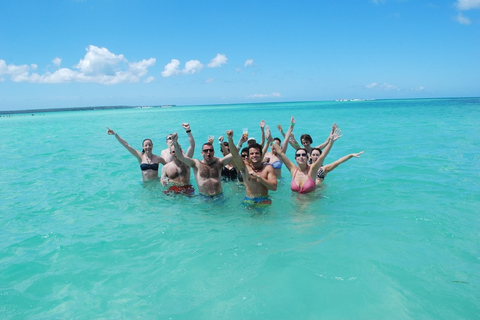 Punta Cana: Amazing Saona Island Clasica Full Day Punta Cana: Incredible Saona Island Full Day