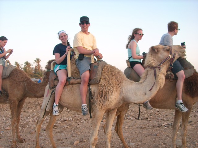 Visit Agadir Flamingos and Sunset Camel Ride with Pickup and Tea in Agadir