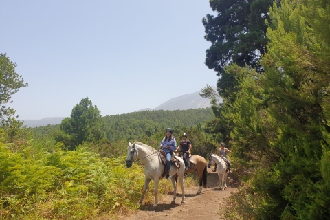 Tenerife - Trail ride - Ausritte Standard Option