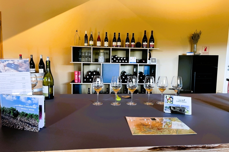 Montpellier : half day cave and wine in Terrasses du Larzac