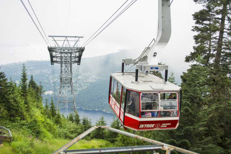 Vancouver: Grouse Mountain Express Tour with Skyride