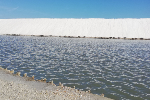 Montpellier : demi-journée de visite d'une manade camarguaise