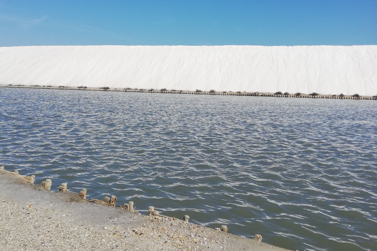 Montpellier : half day visit to a Camargue manade