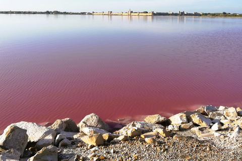 Montpellier: półdniowa wizyta w manade w Camargue