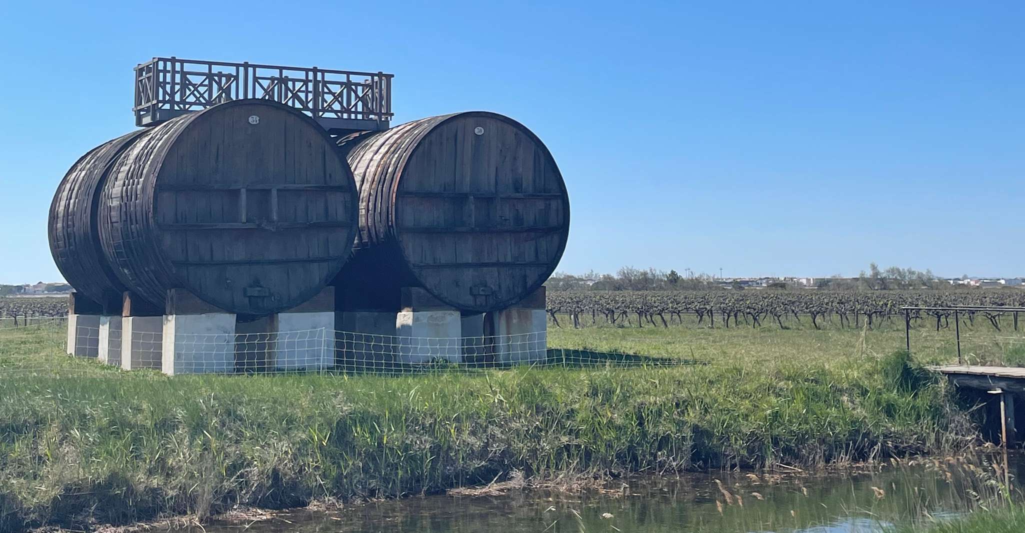 Montpellier , demi-journée de visite des vins en Camargue - Hizvo