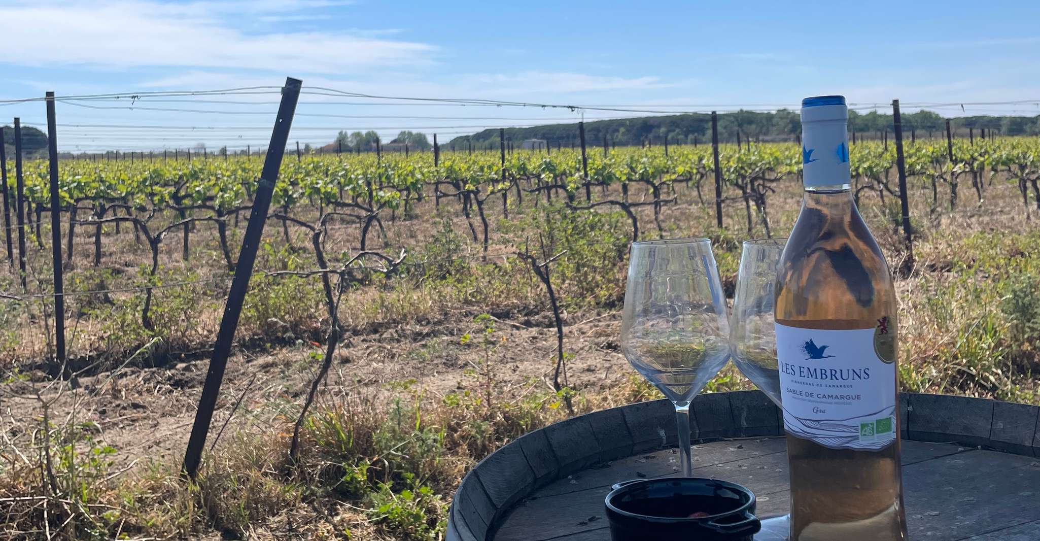 Montpellier , demi-journée de visite des vins en Camargue - Hizvo