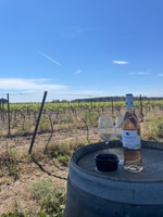 Montpellier , tour del vino di mezza giornata in Camargue - Hizvo