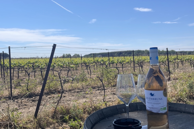 Montpellier : half day wine tour in Camargue