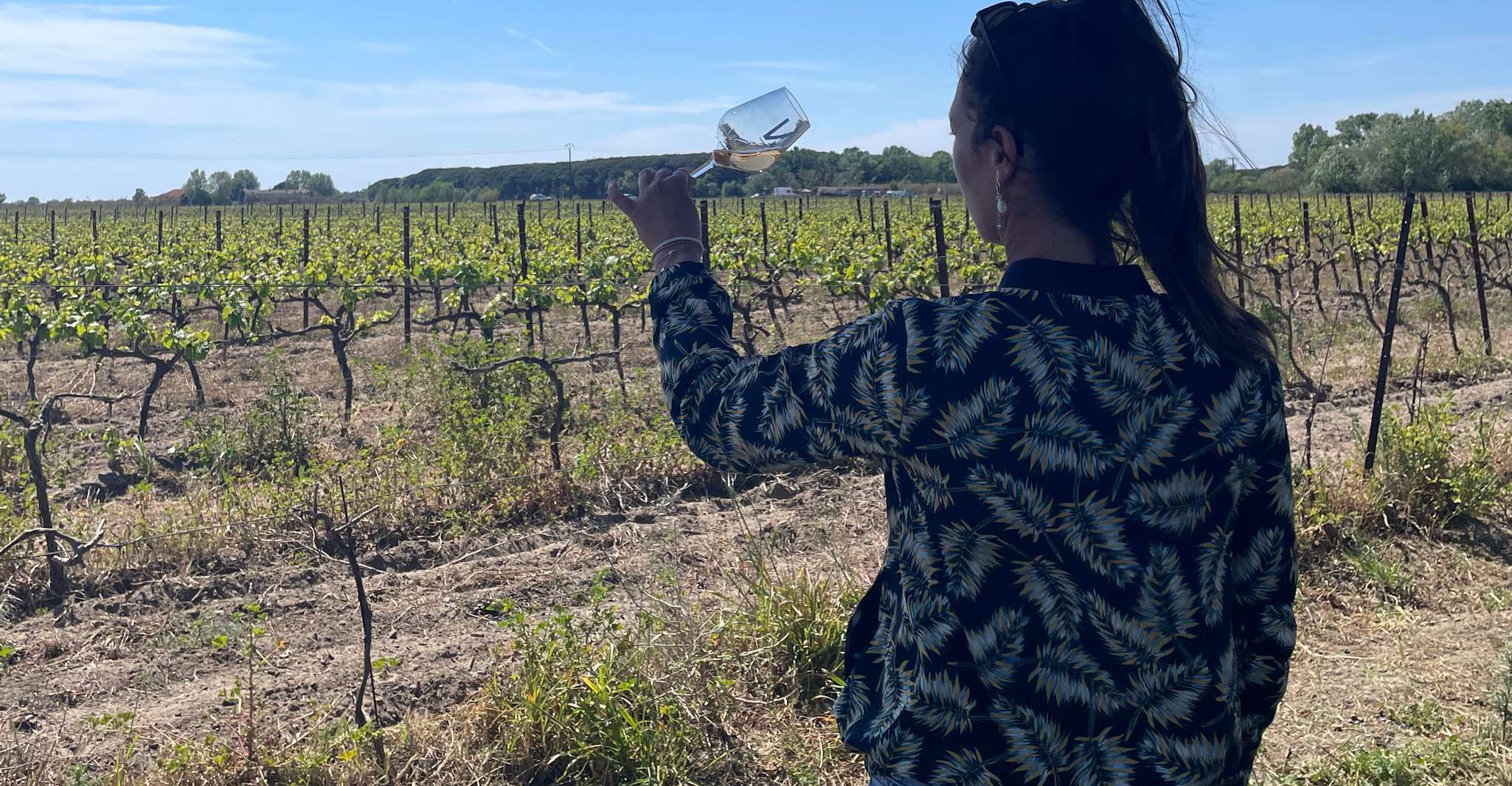 Montpellier , demi-journée de visite des vins en Camargue - Hizvo