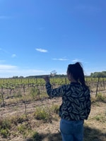 Montpellier , tour del vino di mezza giornata in Camargue - Hizvo