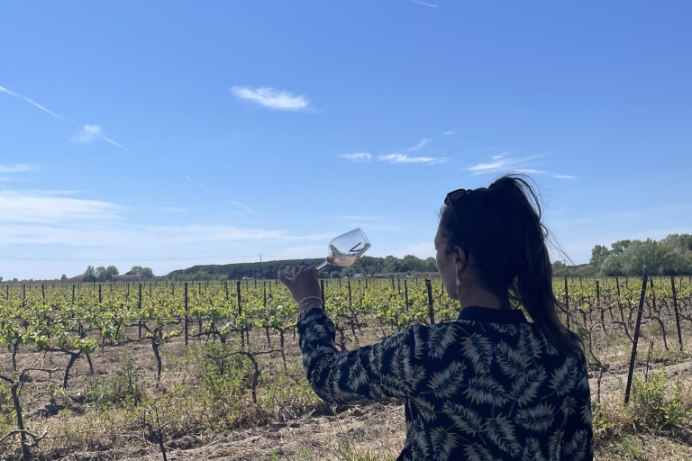 Montpellier : half day wine tour in Camargue