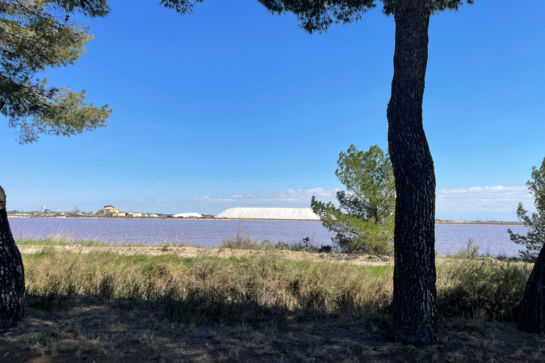 Montpellier : half day wine tour in Camargue