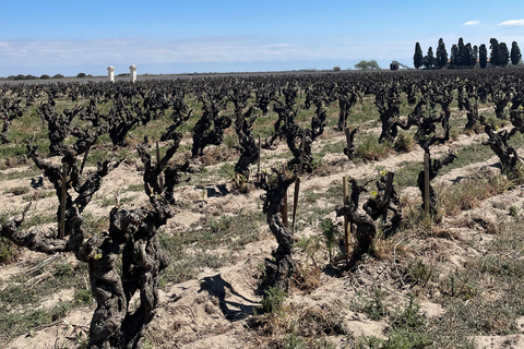 Montpellier: półdniowa wycieczka po winnicach w Camargue