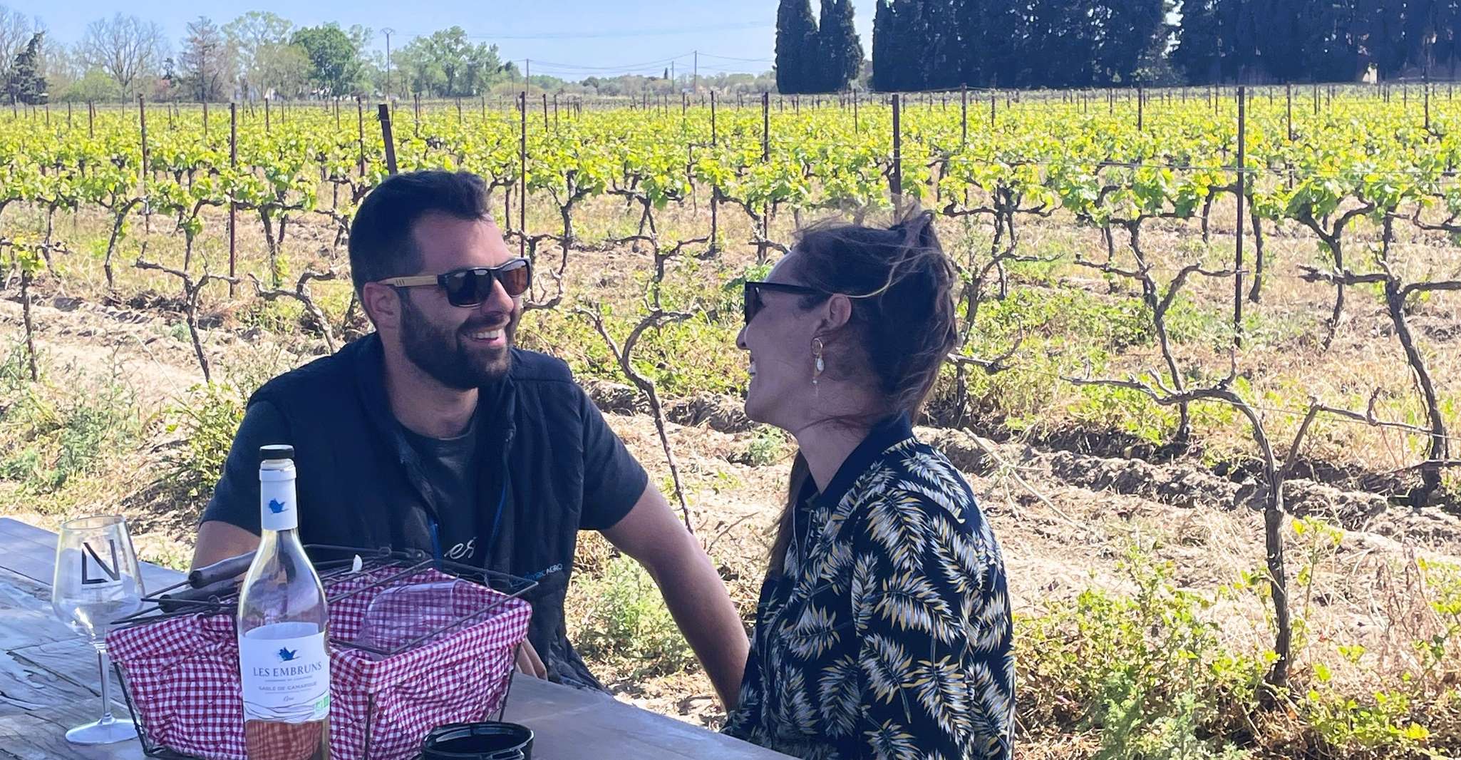 Montpellier , demi-journée de visite des vins en Camargue - Hizvo