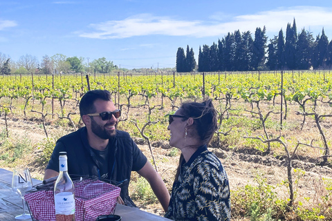 Montpellier : halvdags vinresa i Camargue