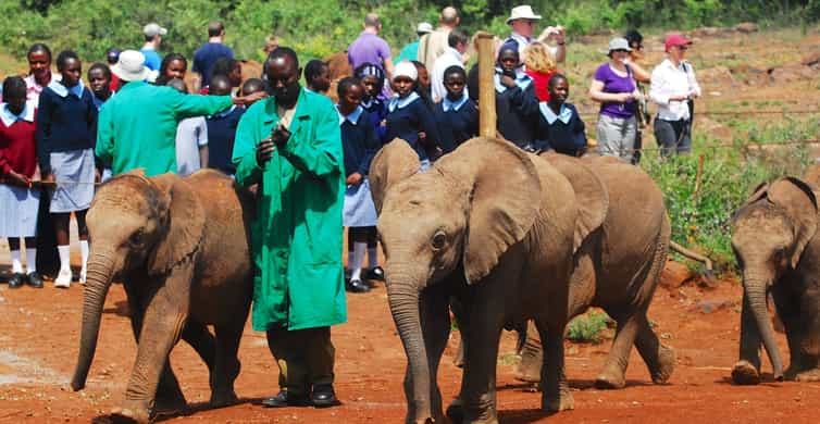 Nairobi Day Trip: Giraffe Center, Elephants and Kazuri Beads | GetYourGuide